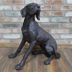 Sitting Dog 