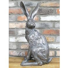 Sitting Hare 