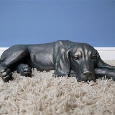 Laying Dog 